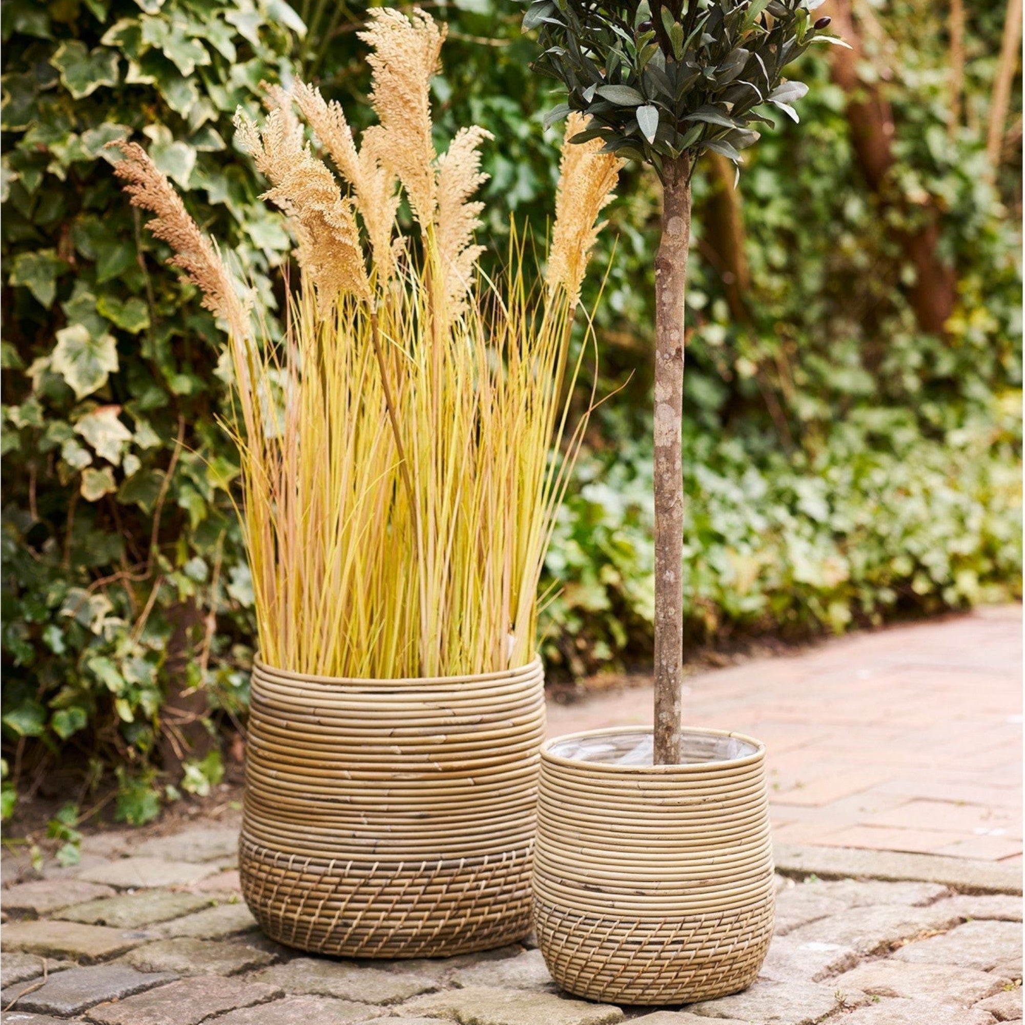 Kayu Living set of two handcrafted natural Kubu rattan baskets with organic texture, displayed outdoors with plants.