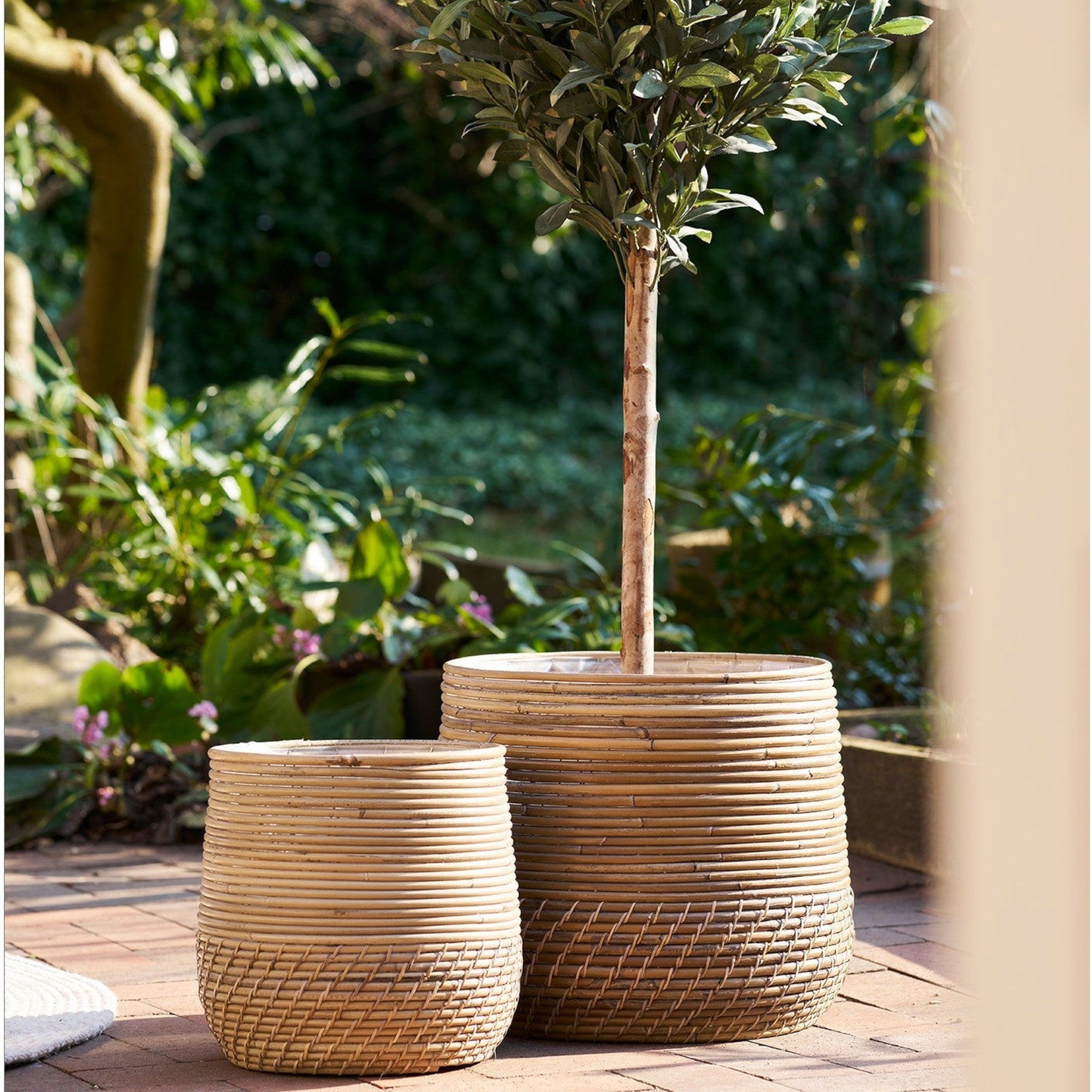 Kayu Living Moro set of two natural Kubu rattan baskets with woven texture, displayed outdoors with a small tree.