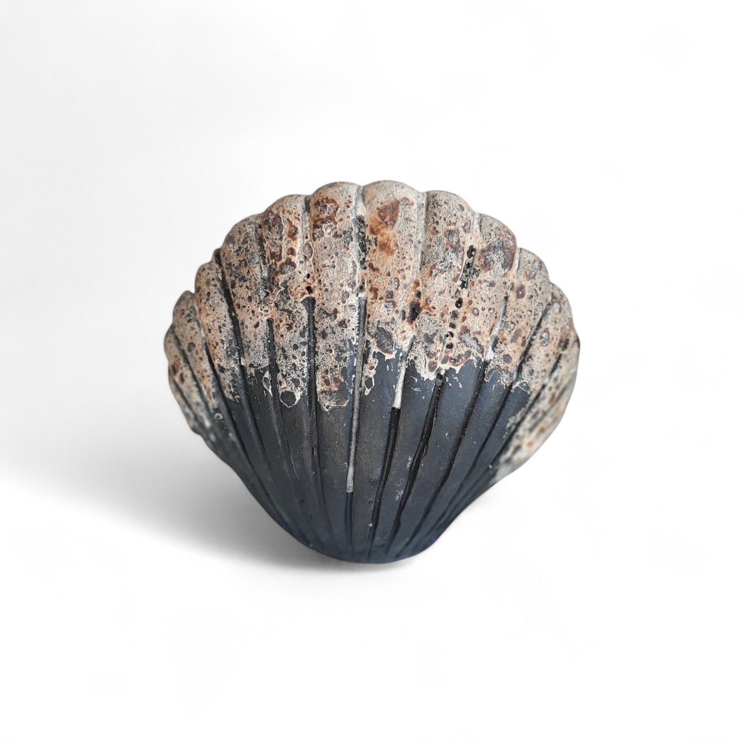 Terracotta Shell #14