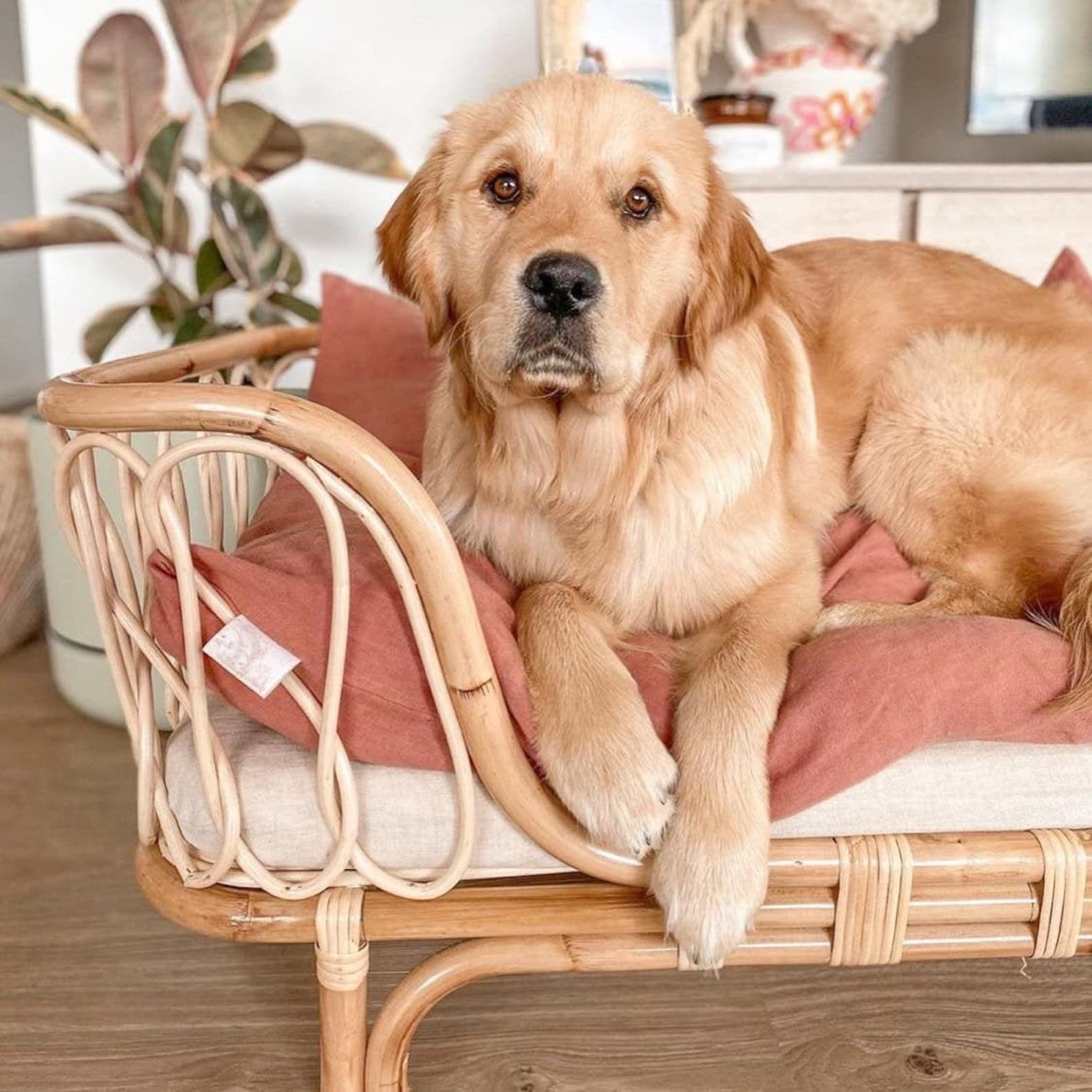 Pet bed in bamboo