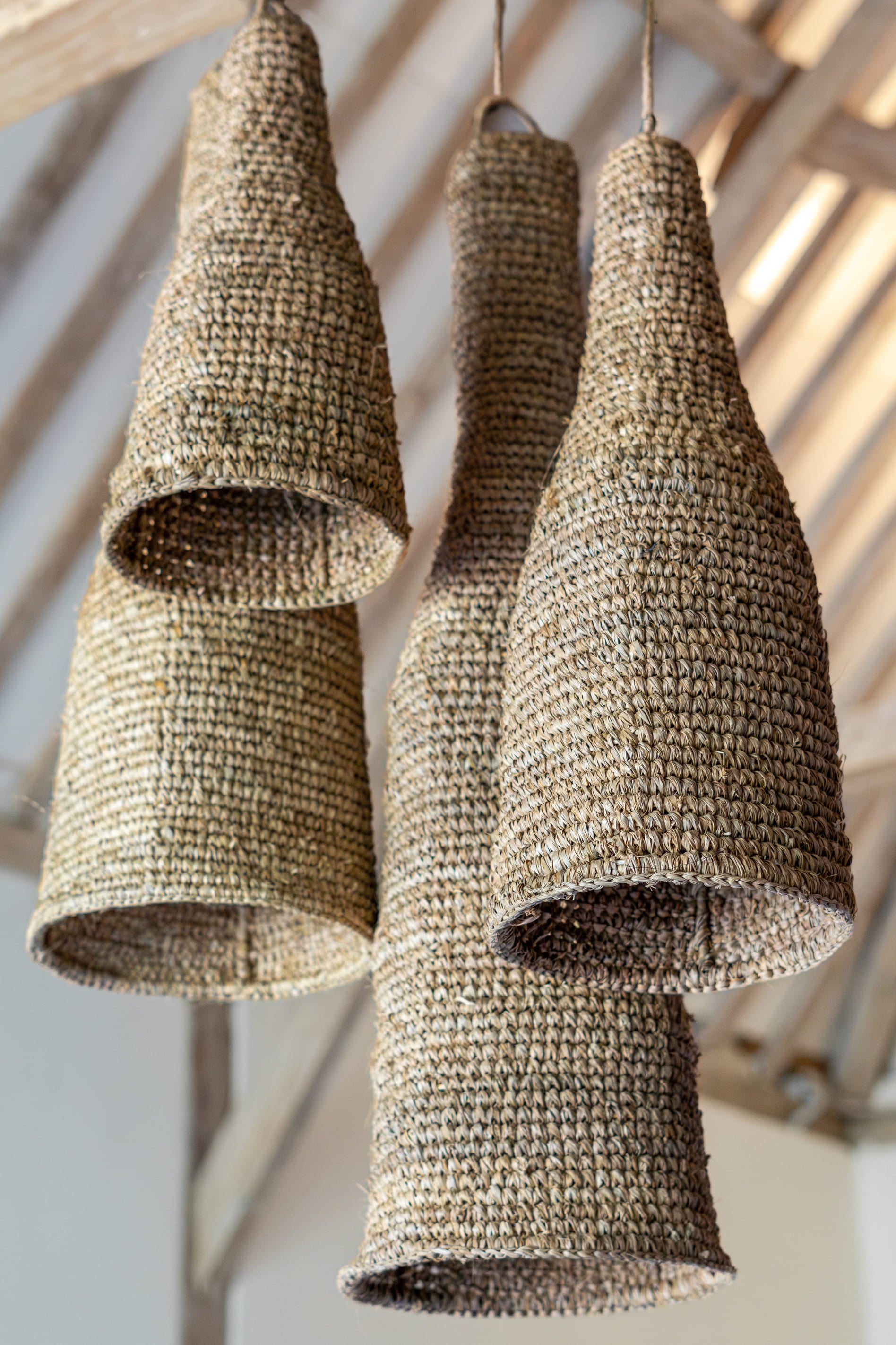 Sisal Pendant - Wasp House