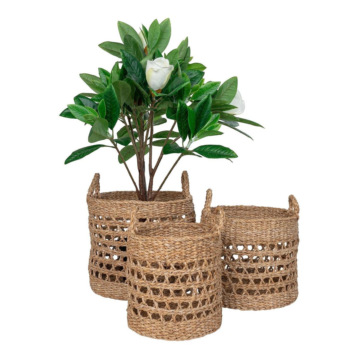 Kayu Living set of three natural seagrass baskets with black accents and woven lattice detail holding a green plant.