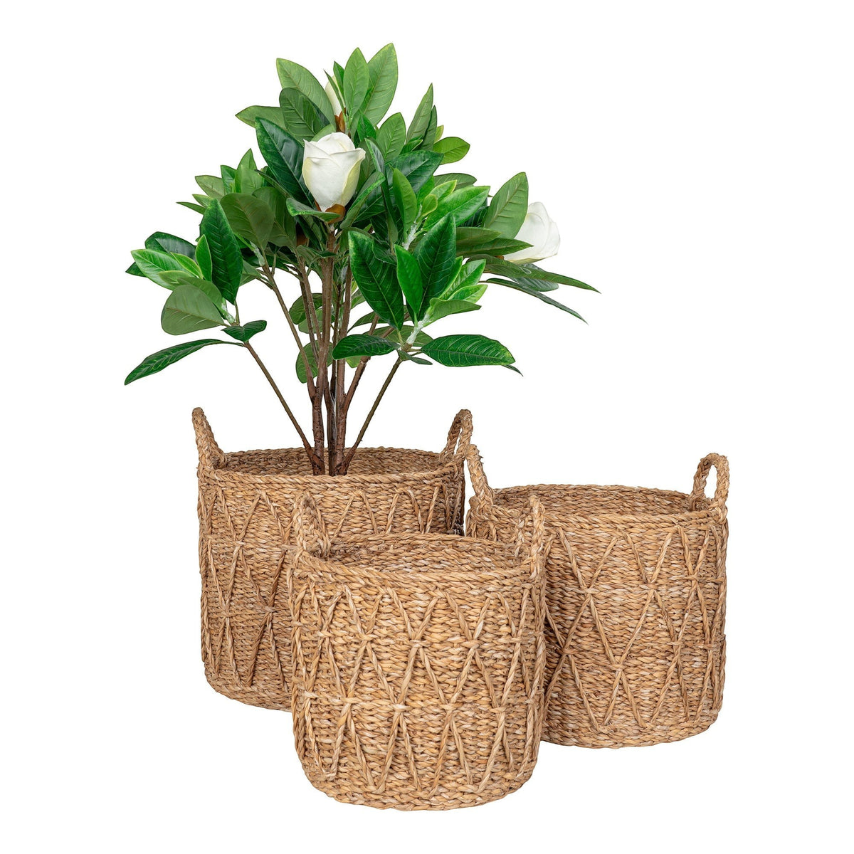 Kayu Living set of three handcrafted natural seagrass storage baskets with woven diamond patterns and side handles.