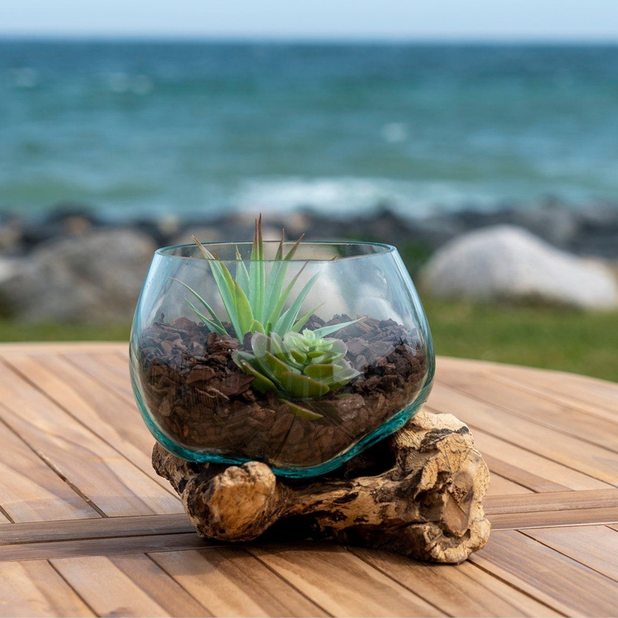 Kayu Living waterdrop vase made of natural teak, glass, and steel with succulents. 15x15x15 cm.
